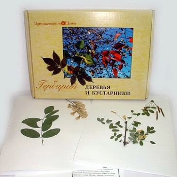 Гербарий «Деревья и кустарники»