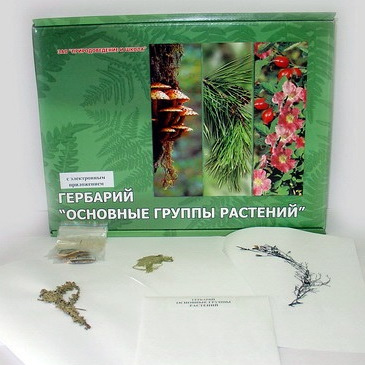 Гербарий «Основные группы растений» 
